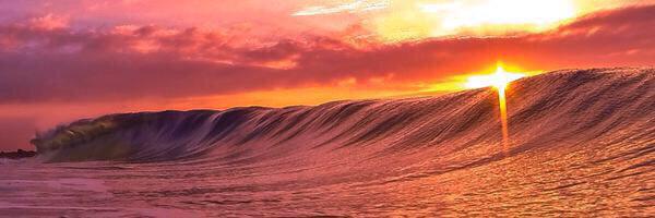 morgan_fodrie's profile banner image