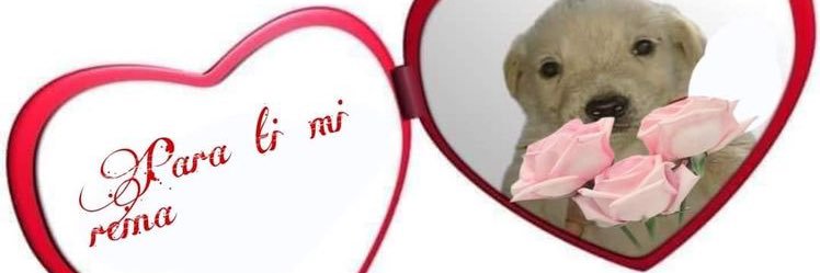 Adrn_11's profile banner image