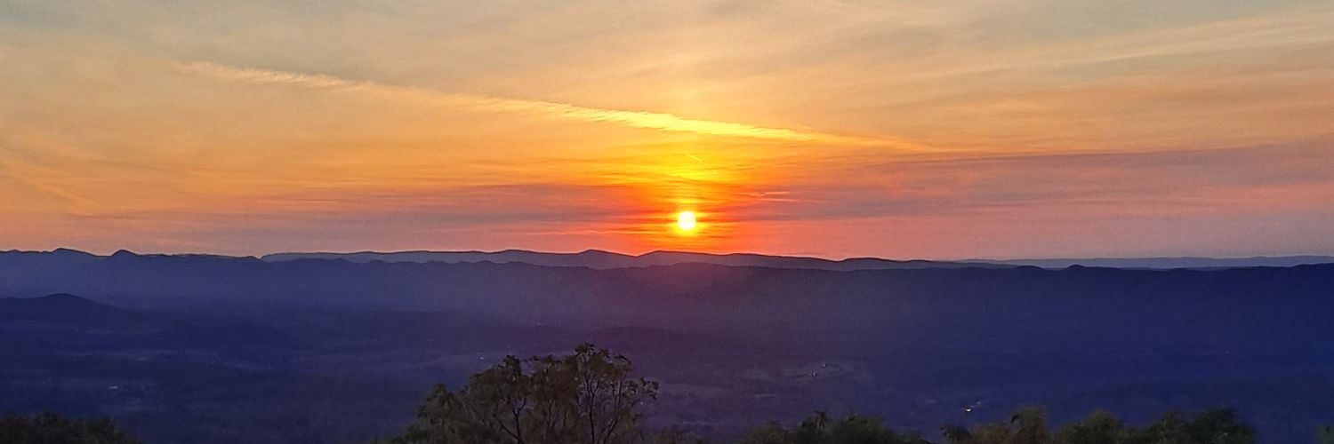 TheIntDC's profile banner image