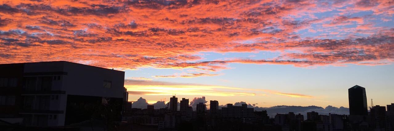Martin Gonzalez V. banner