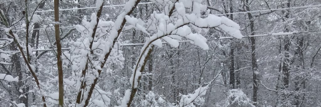 KristySerna1's profile banner image