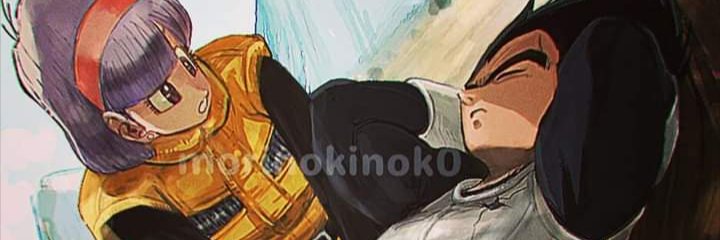Caty_RE2's profile banner image