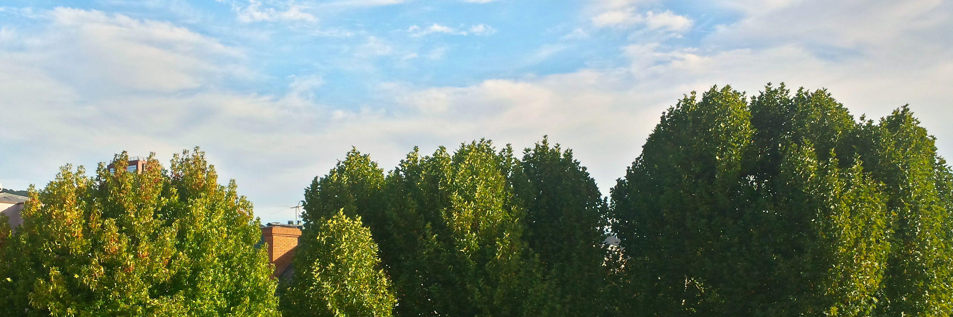 selinathecat1's profile banner image