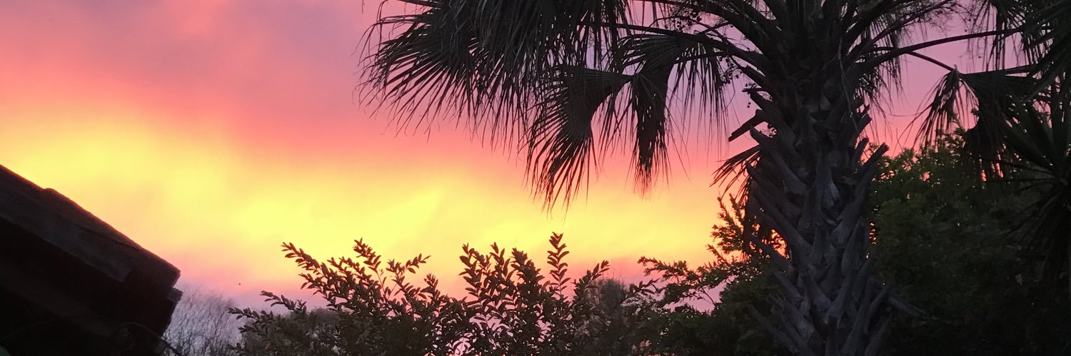 lescmf23's profile banner image