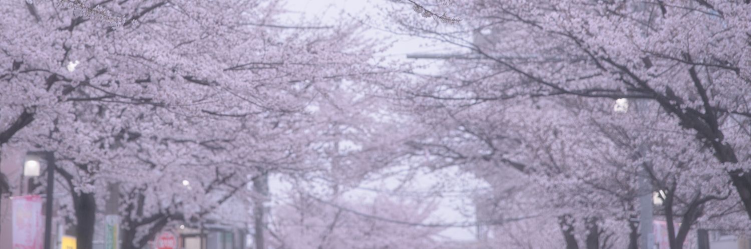 Marshi77123725's profile banner image