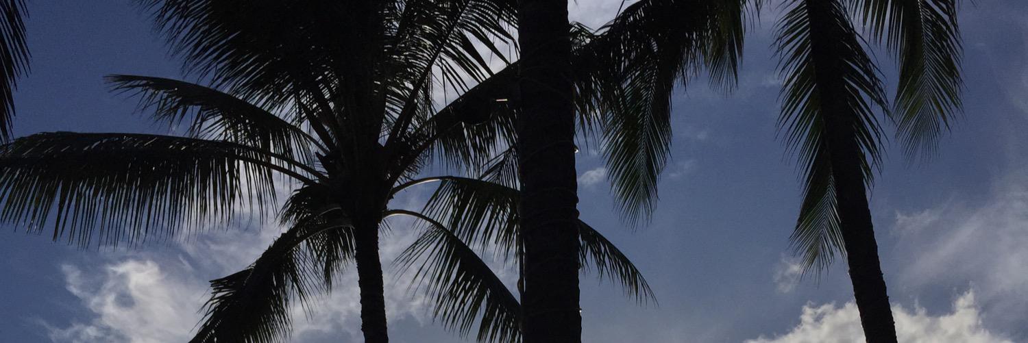 NewlyWeg's profile banner image