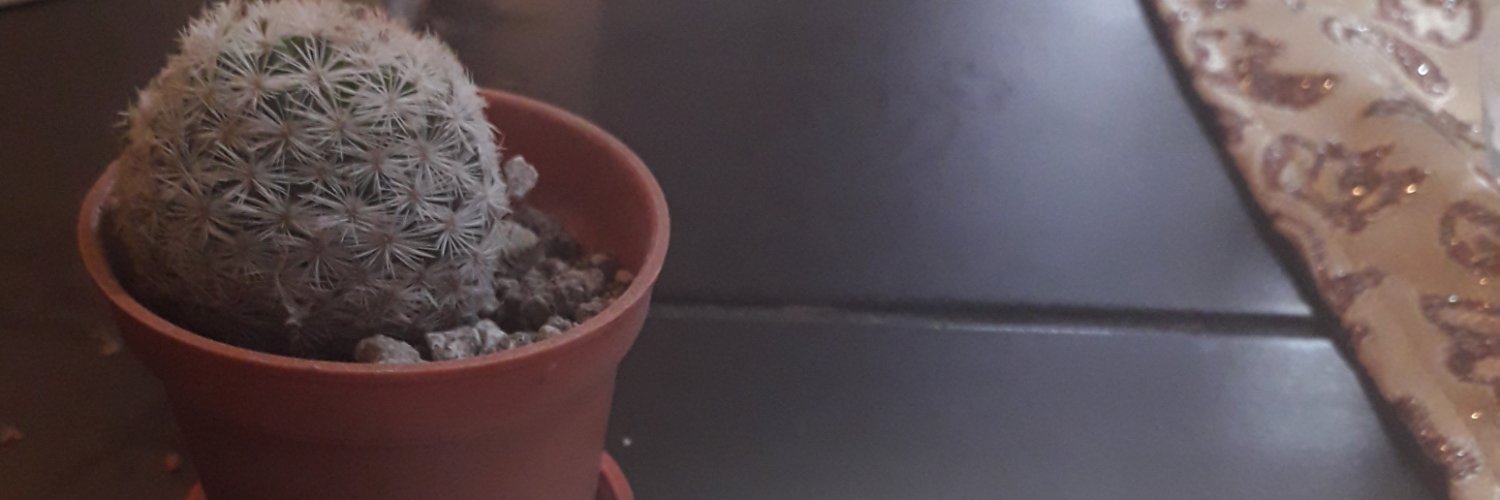 YacetTai's profile banner image