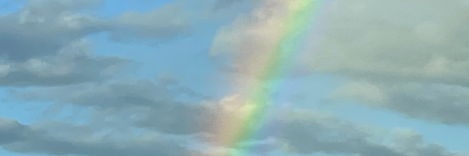 StacyDescalzi's profile banner image