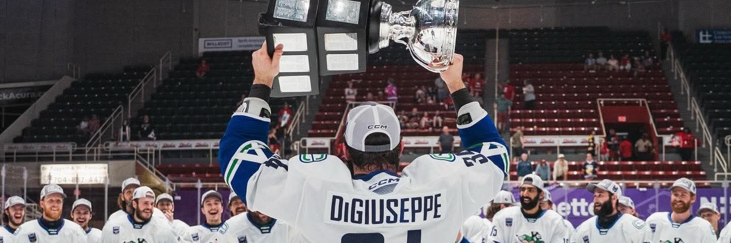 Cindy Wilhelm banner