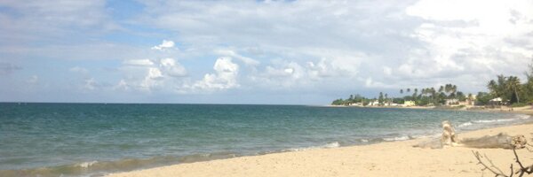 SQLConqueror Profile Banner