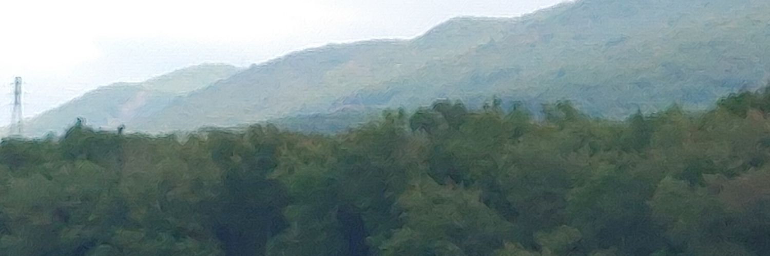 mathis_beth's profile banner image