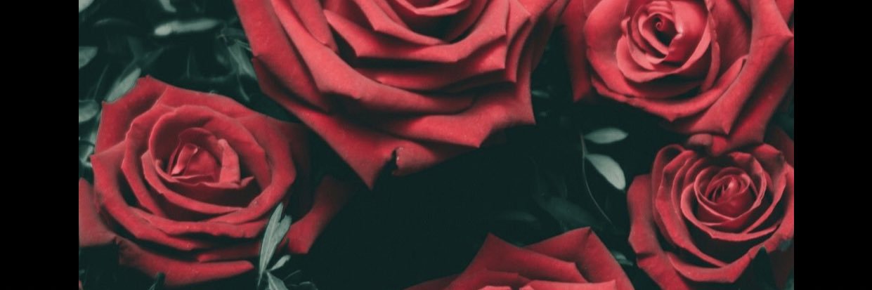 BerrySo_Sweet's profile banner image