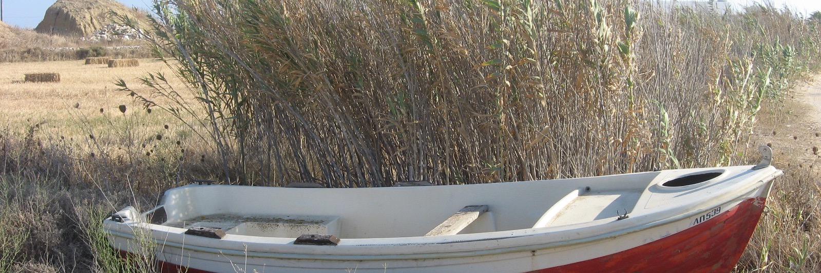 purringmulan's profile banner image