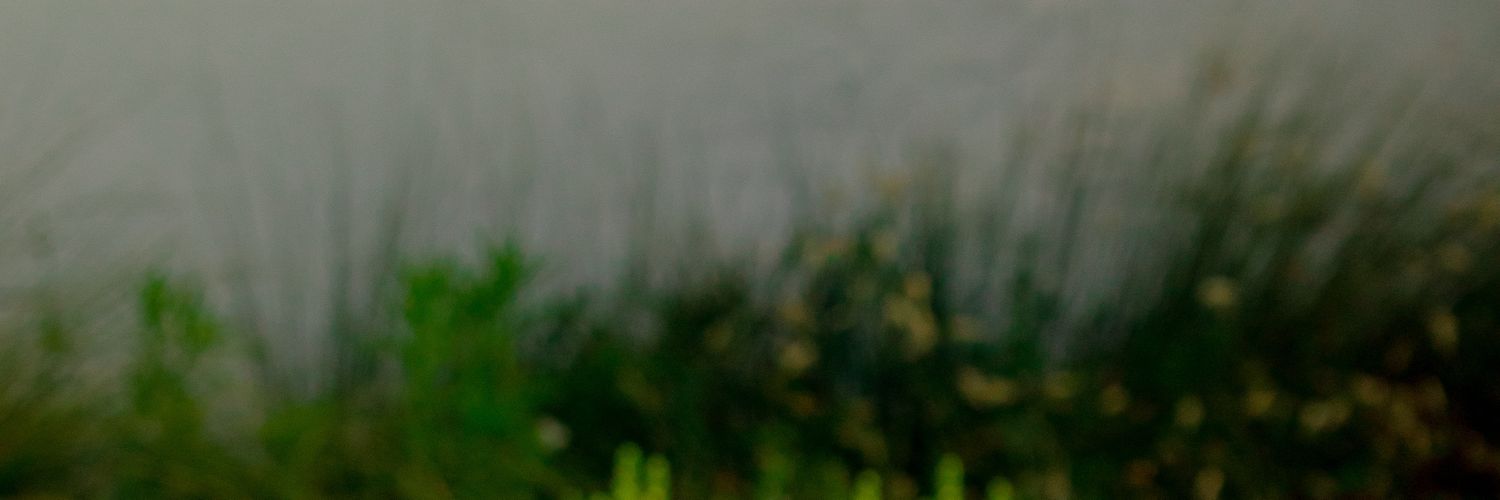 Dani_vprd's profile banner image
