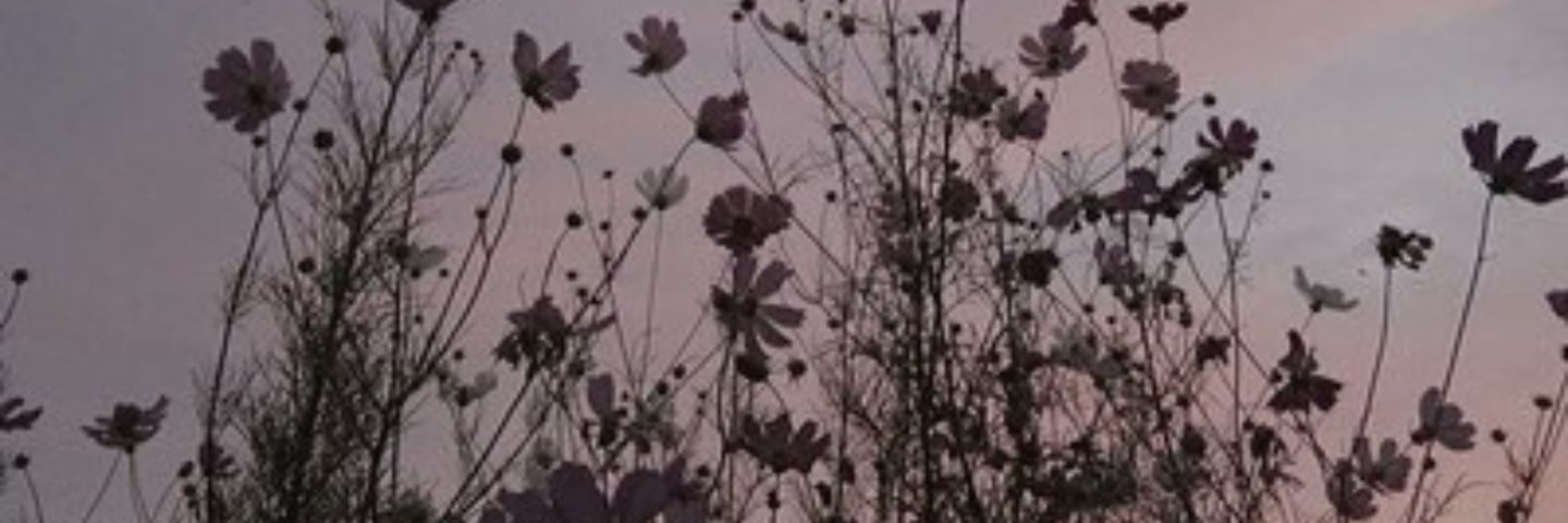 crazychat23's profile banner image