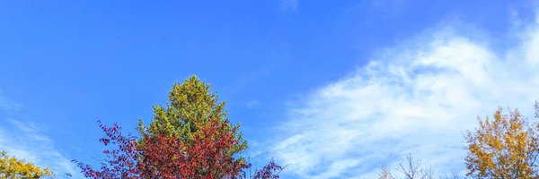 Line_Fault Profile Banner