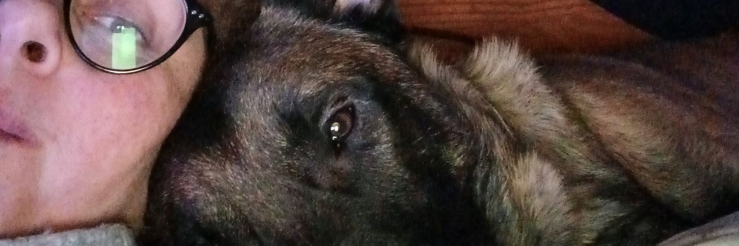 sandrabrami74's profile banner image