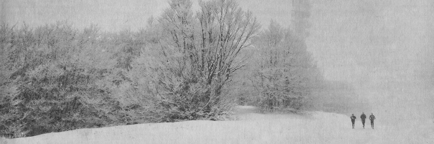 lomotics's profile banner image