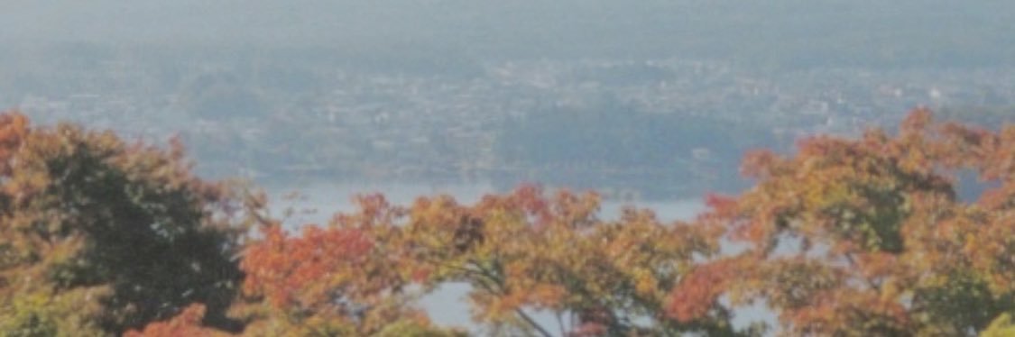 mikeyettlinger's profile banner image