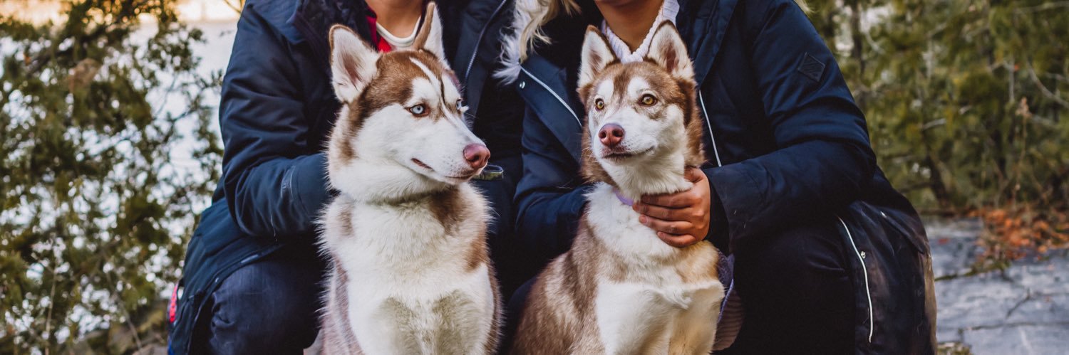AyeeeB22's profile banner image