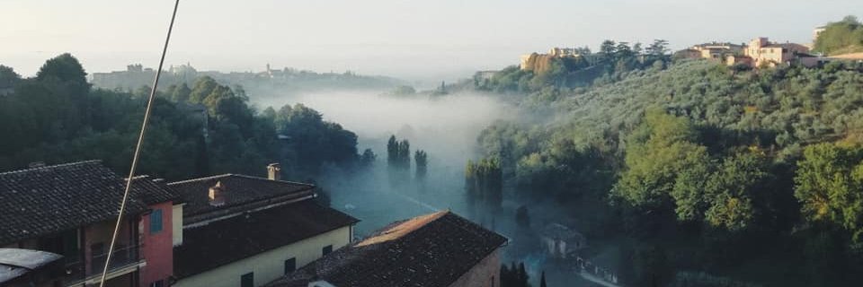 Carla Bohigas banner