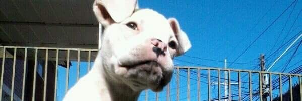patormx's profile banner image