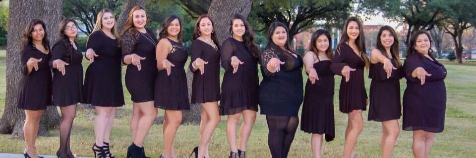 Baylor Gammas banner