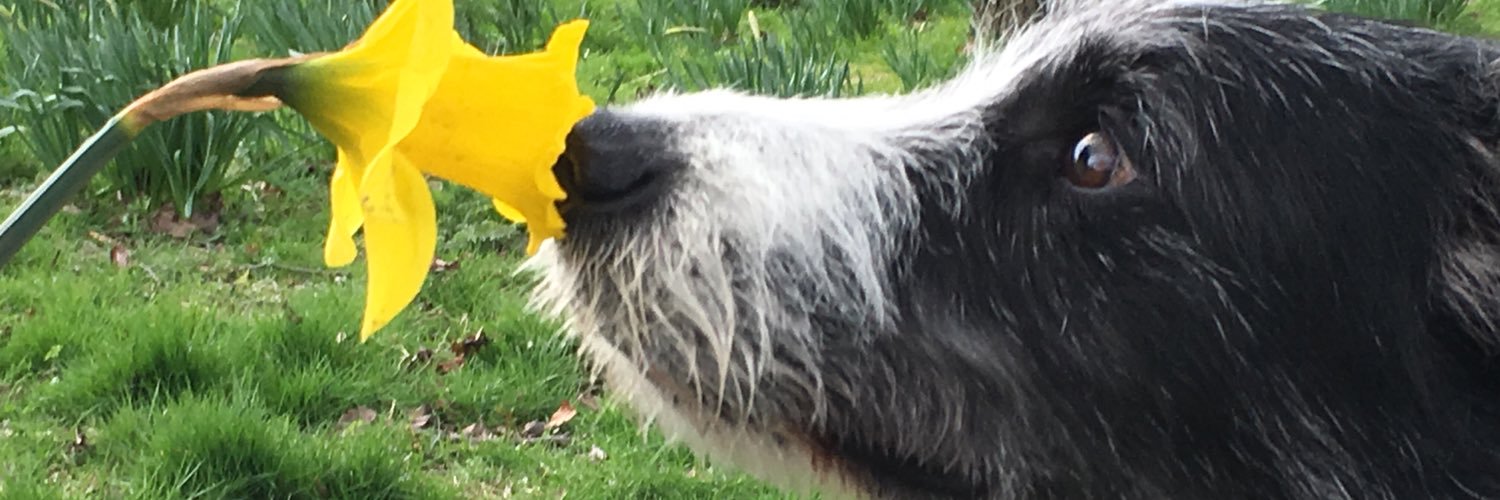 KeithorKeith's profile banner image
