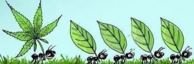 MeccaCanada's profile banner image