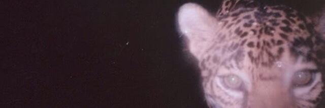 arielstinn's profile banner image
