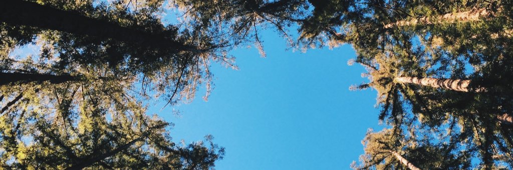 NoheaMariteragi's profile banner image