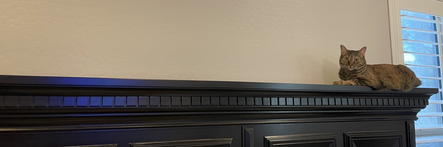 Amy Guzek, MD IBCLC FAAP banner