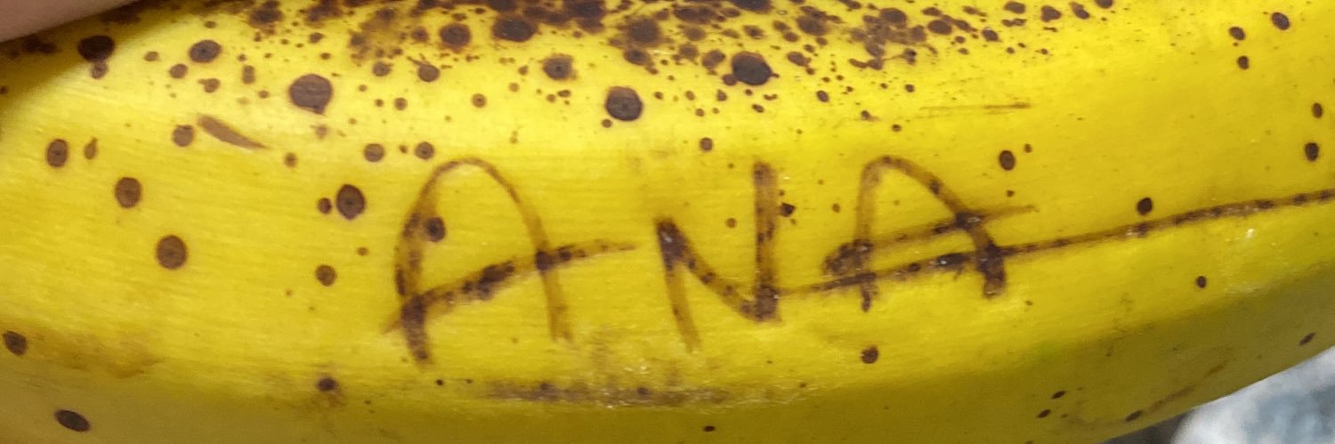1amendobobinha's profile banner image