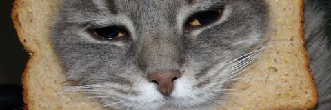 ssgeor's profile banner image
