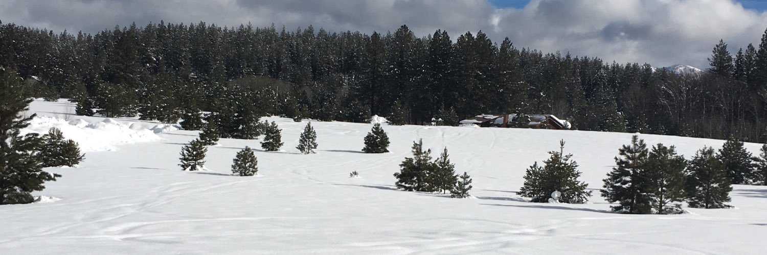 brittanguena's profile banner image