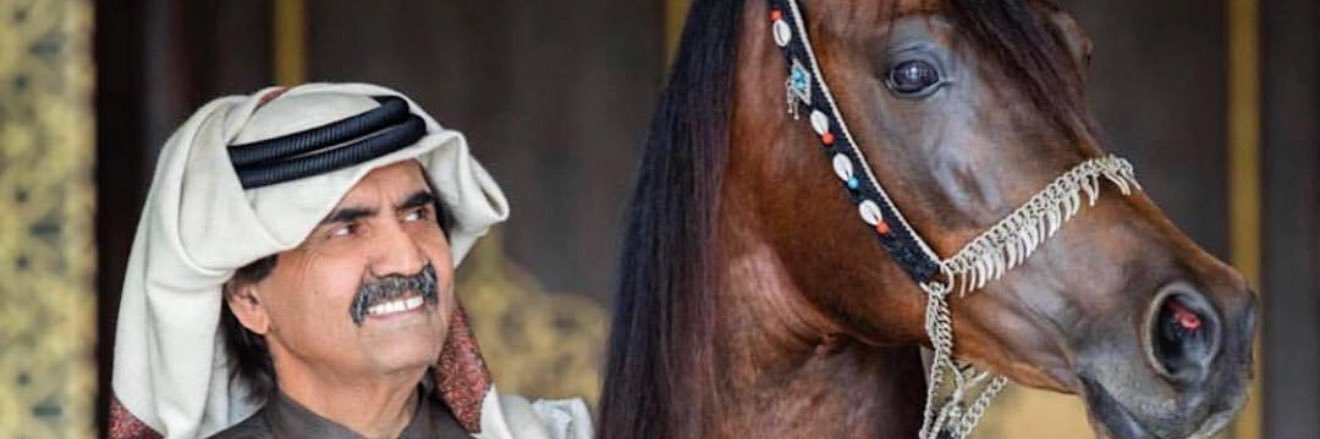 سعيد بن مبارك الخيارين banner