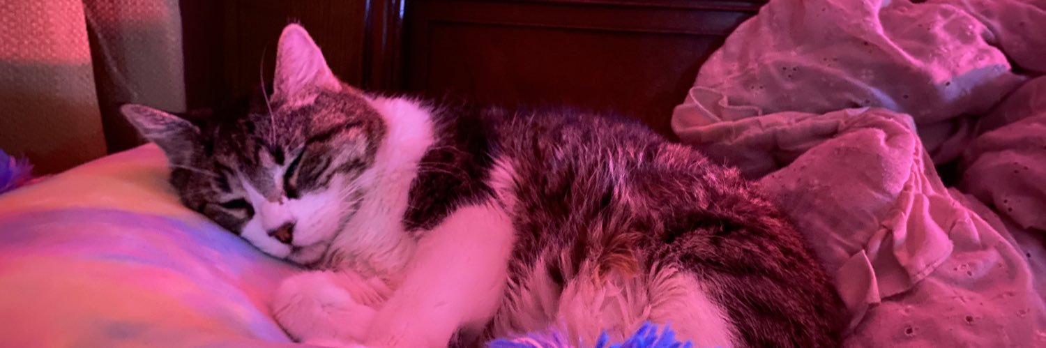 natbrooke_94's profile banner image