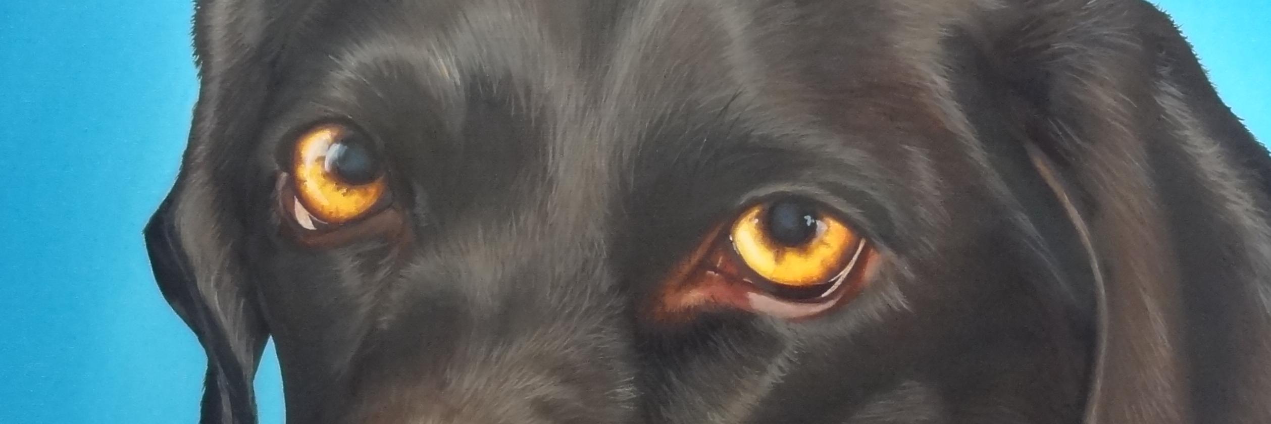 Lauraspaintings's profile banner image