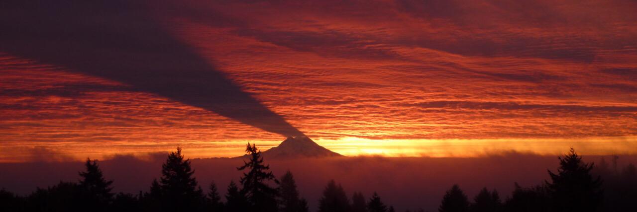 EruptingToday's profile banner image