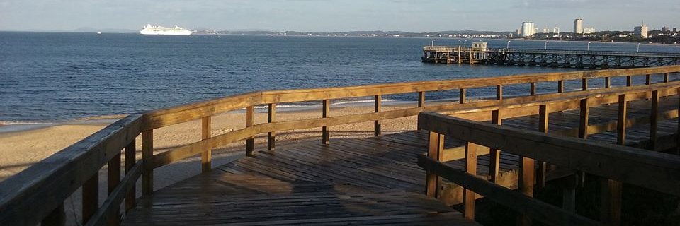NancyPSives's profile banner image