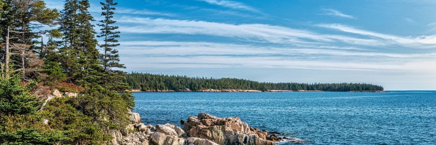 ashester131's profile banner image