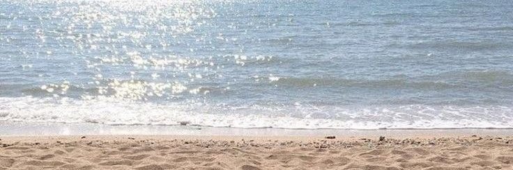 puppergoo's profile banner image