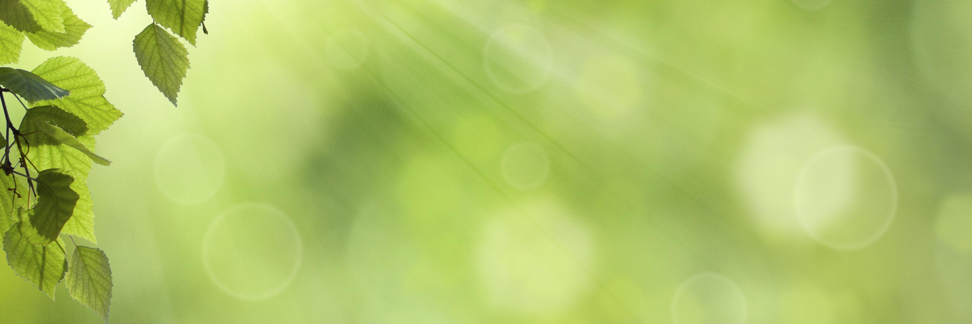 jardinterramie's profile banner image