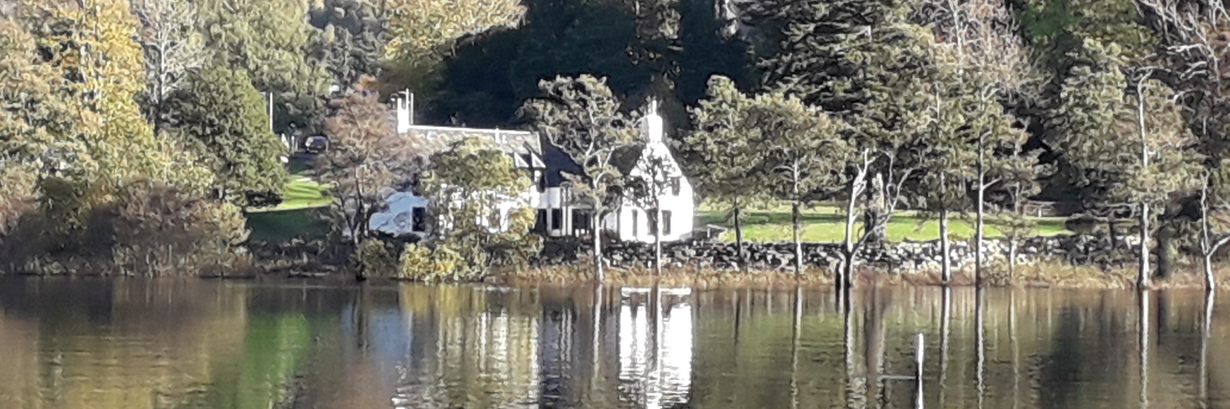 MarieGal 💚 banner