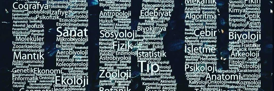 sercnselcuk's profile banner image