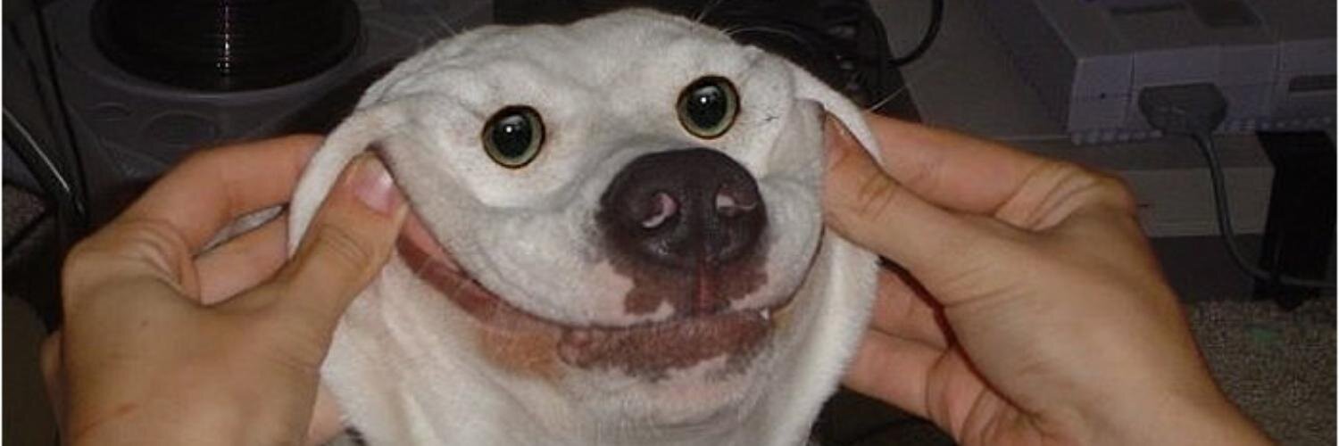 Albertxu ✂️🍕🇪🇸 👨‍🎨 banner