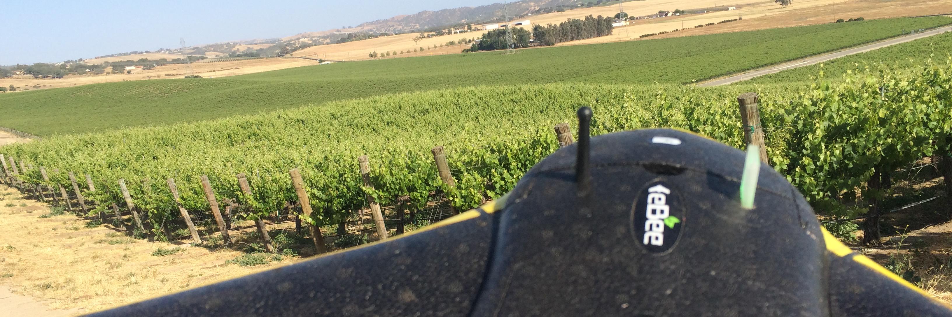 wineflightchile's profile banner image