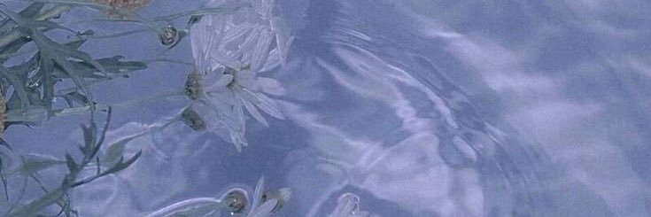 beaivorra's profile banner image