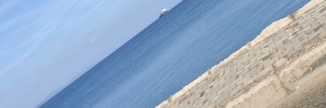 leoparll's profile banner image