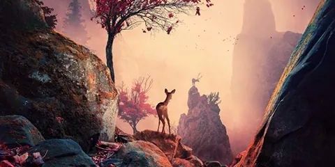 196Lorena's profile banner image
